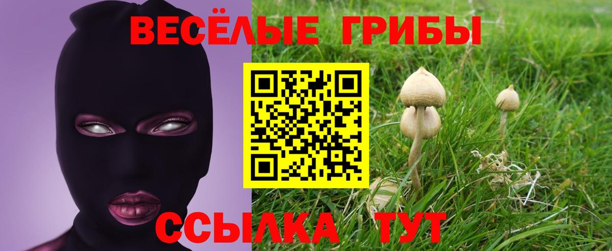 Галлюциногенные грибы Magic Shrooms  Вход с VPN  Галлюциногенные грибы Psilocybe  Минусинск 